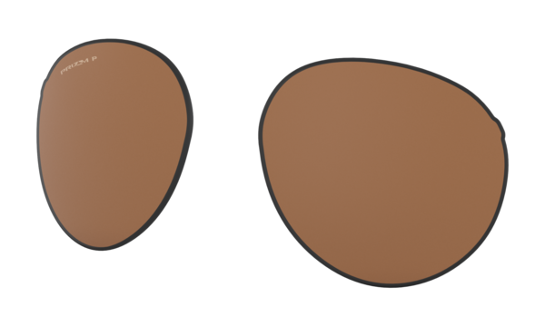 Forager Replacement Lenses