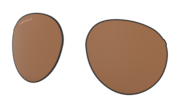 prizm tungsten polarized