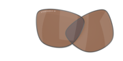 prizm tungsten polarized