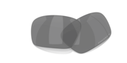 prizm black polarized