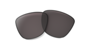 prizm grey polarized