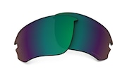 prizm shallow water polarized