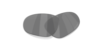 prizm black polarized