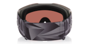 Fall Line L Snow Goggles - Titanium