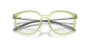 BMNG - Polished Transparent Fern