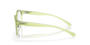 Spindrift - Polished Translucent Fern