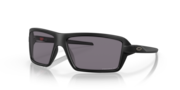 prizm grey polarized