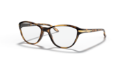 Polished Brown Tortoise