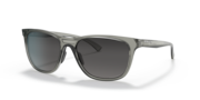 prizm grey gradient