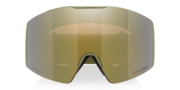 Fall Line L Snow Goggles - Fern