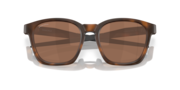 Shackle - Matte Brown Tortoise