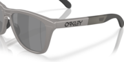 Frogskins™ Range (Low Bridge Fit) - Titanium