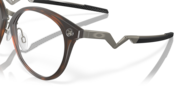 Cognitive R - Polished Brown Tortoise