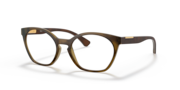 Satin Brown Tortoise