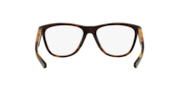 Grounded™ - Polished Tortoise