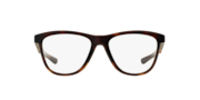 Grounded™ - Polished Tortoise