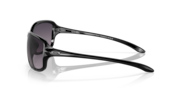 Cohort - Polished Black
