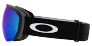 Flight Path L Snow Goggles - Matte Black