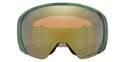 Flight Path L Snow Goggles - Cool Grey Fog