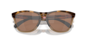 Frogskins™ Range - Brown Tortoise/Brown Smoke