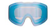 Fall Line L Snow Goggles - Grey Balsam