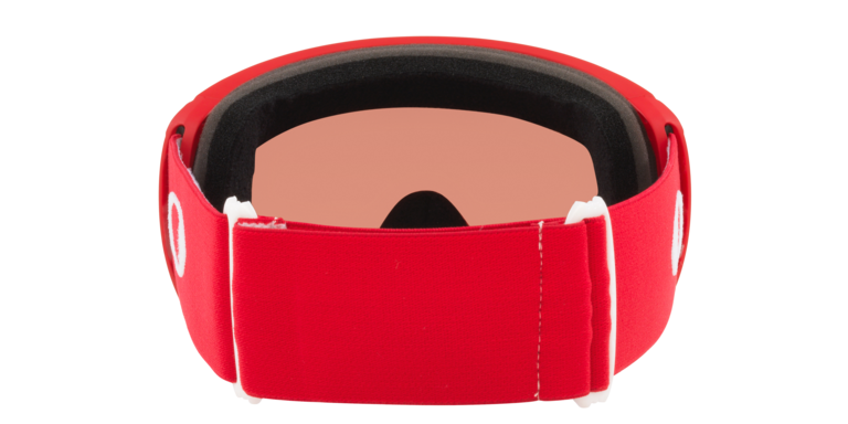 Flight Path L Snow Goggles - Redline