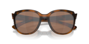 Low Key - Matte Brown Tortoise