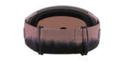 Flight Tracker L Snow Goggles - Toadstool Dip