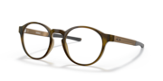 Satin Brown Tortoise