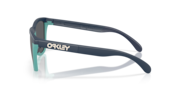 Frogskins™ Range (Low Bridge Fit) - Matte Abyss