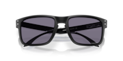 Holbrook™ (Low Bridge Fit) - Matte Black