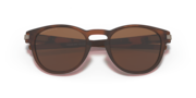 Latch™ (Low Bridge Fit) - Matte Brown Tortoise