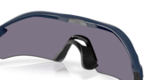 Radar® Plate​ - Polished Navy