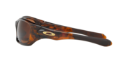 Pit Bull™ (Low Bridge Fit) - Brown Tortoise
