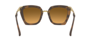 Side Swept - Matte Brown Tortoise