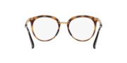 Top Knot™ - Polished Brown Tortoise