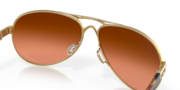 Feedback - Polished Gold