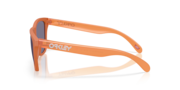 Frogskins™ (Low Bridge Fit) - Matte Ginger