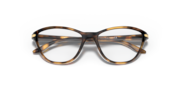 Twin Tail (Youth Fit) - Polished Brown Tortoise