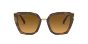 Side Swept - Matte Brown Tortoise