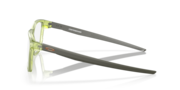Centerboard - Polished Transparent Fern