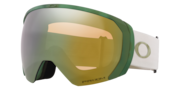 Flight Path L Snow Goggles - Cool Grey Fog