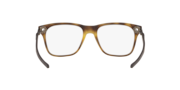 Apparition™ - Satin Brown Tortoise