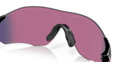 EVZero™ Path® - Polished Black