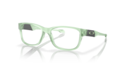 Polished Trans Jade