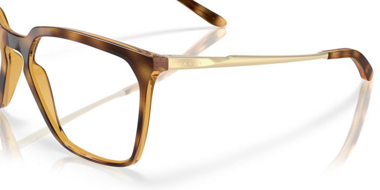 BMNG SQ - Polished Brown Tortoise