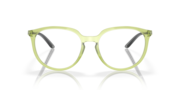 BMNG - Polished Transparent Fern
