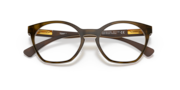 Tone Down - Satin Brown Tortoise