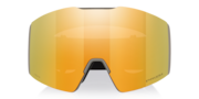 Fall Line L Snow Goggles - Titanium