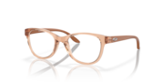 Polished Transparent Sepia